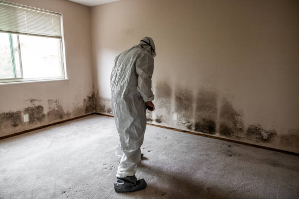 Mold Remediation for Vacation Homes in Mount Cob, PA